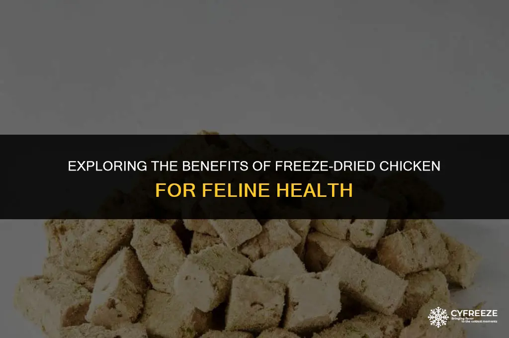 is freeze dried chicken good for cats