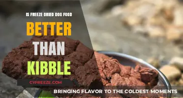 Exploring the Benefits: Freeze-Dried Dog Food vs. Kibble
