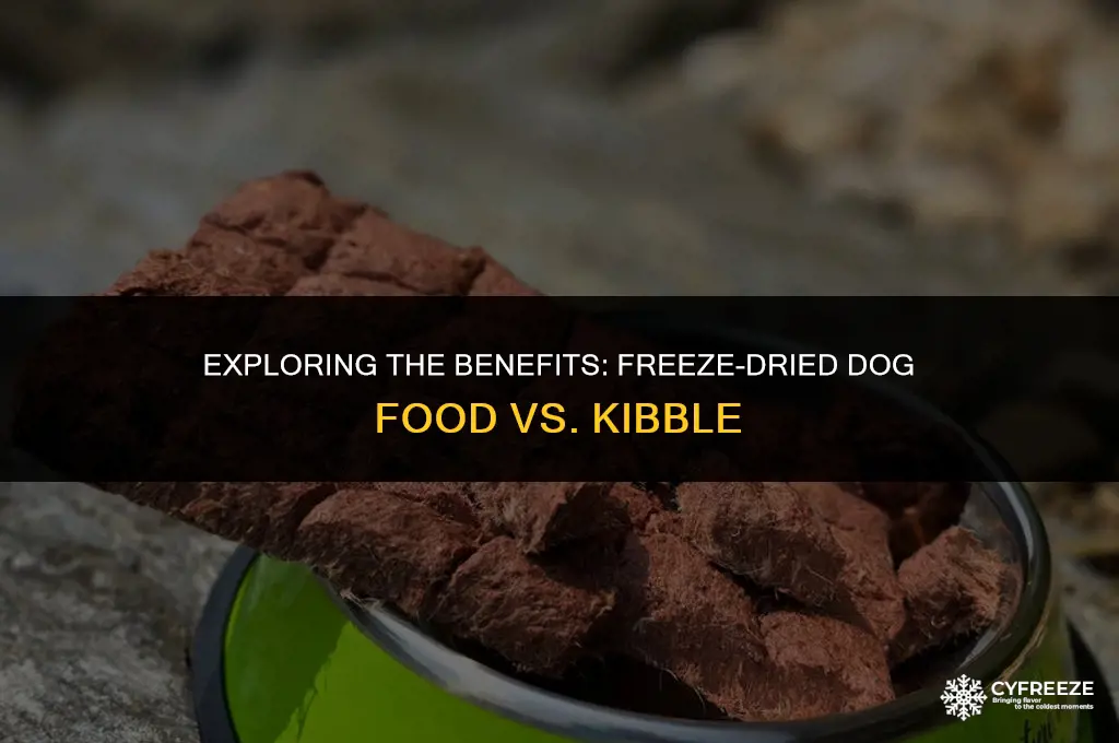 is freeze dried dog food better than kibble