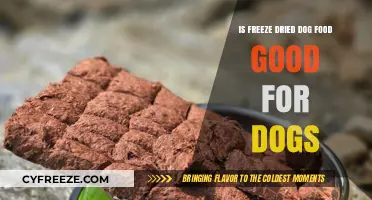 Exploring the Benefits and Drawbacks of Freeze-Dried Dog Food