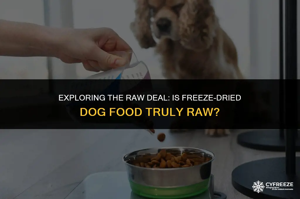 is freeze dried dog food raw