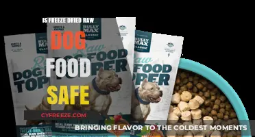 Exploring the Safety of Freeze-Dried Raw Dog Food: A Comprehensive Guide