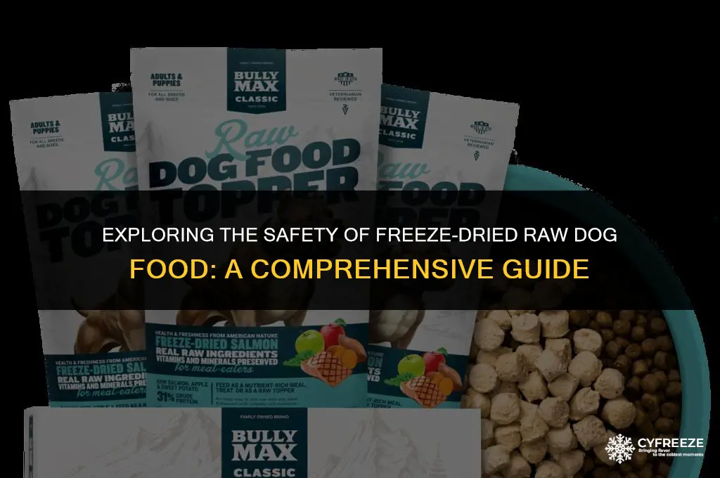 is freeze dried raw dog food safe