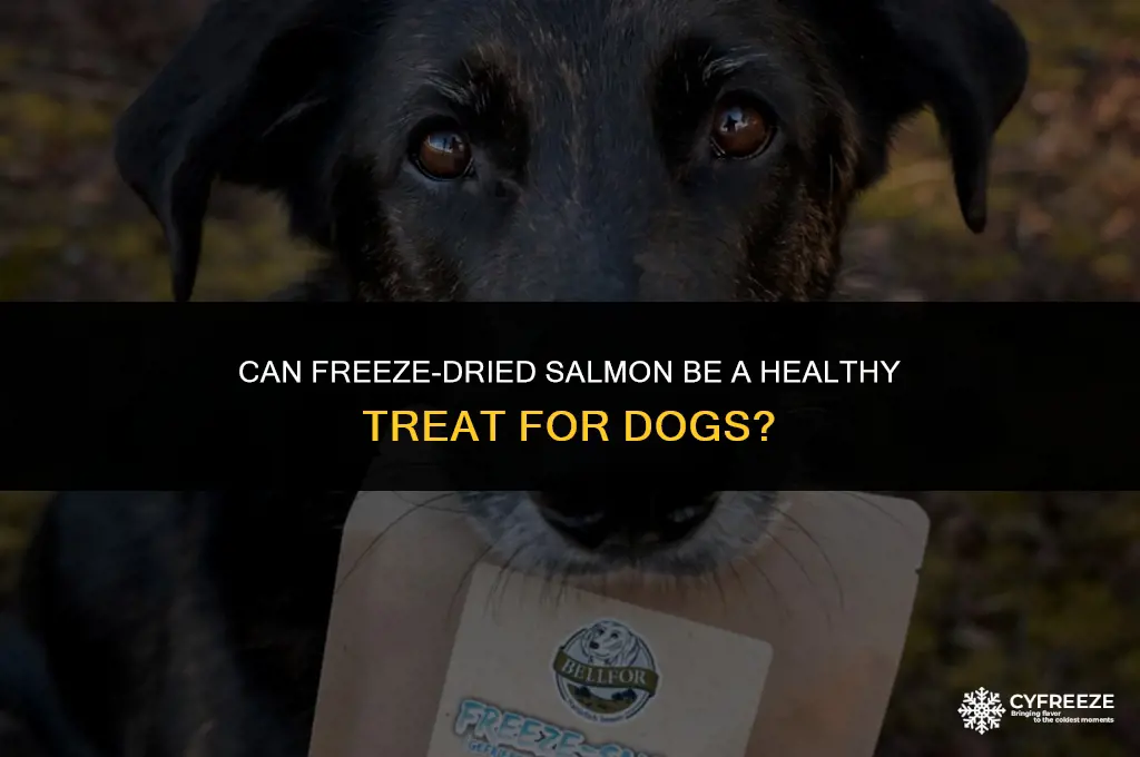 is freeze dried salmon good for dogs