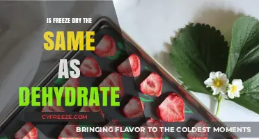 Exploring the Differences: Freeze-Drying vs. Dehydrating Food