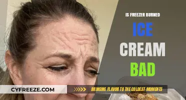 The Scoop on Freezer Burn: Is Your Ice Cream Still Safe?