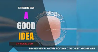 Considering Cryopreservation: Is Freezing Eggs a Good Idea?