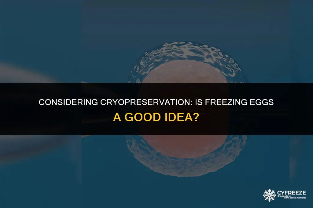 is freezing eggs a good idea