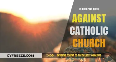 Exploring the Intersection of Faith and Fertility: Catholic Perspectives on Egg Freezing