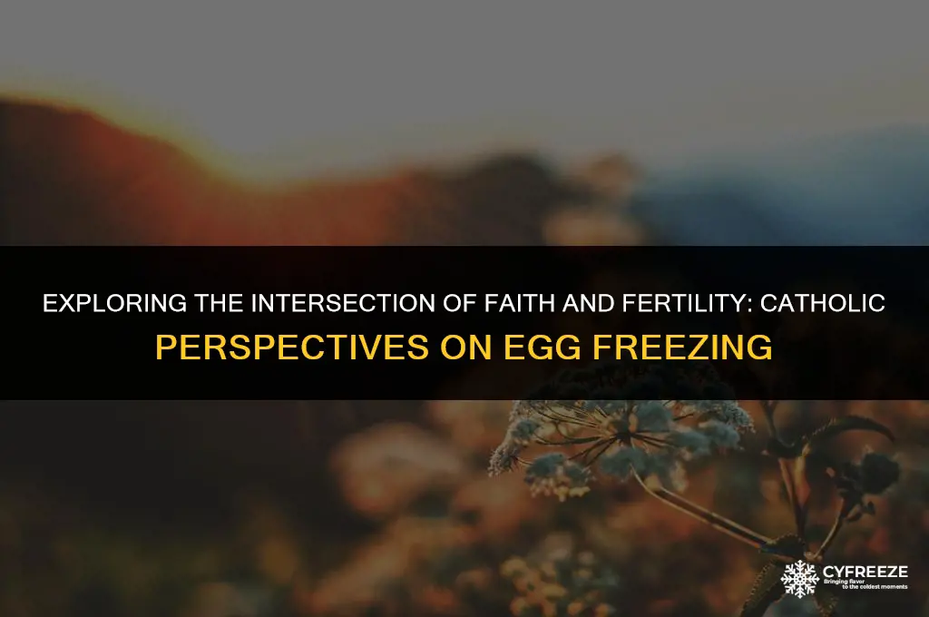 is freezing eggs against catholic church