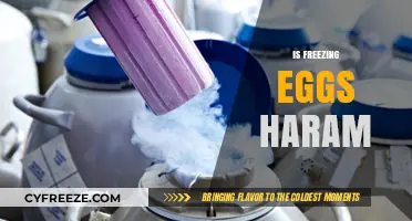 Exploring the Ethical and Religious Dimensions of Egg Freezing