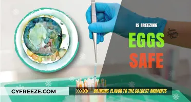 Egg Freezing Safety: What You Need to Know