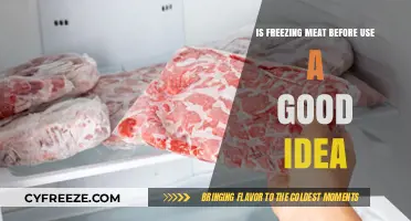 Should You Freeze Meat Before Cooking? Pros, Cons, and Tips