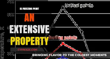 Is Freezing Point Extensive? Understanding Thermodynamic Properties Explained