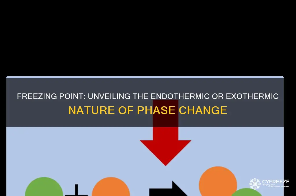 is freezing point endothermic or exothermic