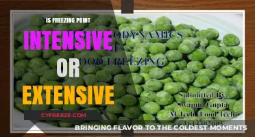 Is Freezing Point Intensive or Extensive? Unraveling Thermodynamic Properties