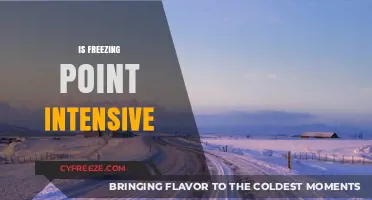 Is Freezing Point an Intensive Property? Exploring Thermodynamic Fundamentals