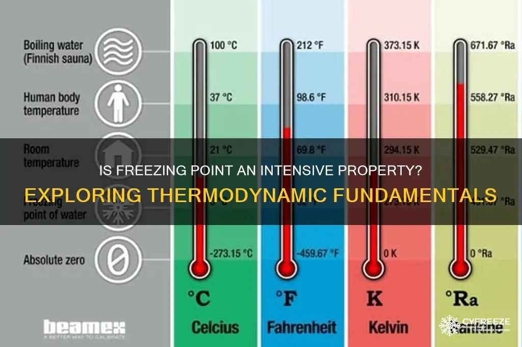 is freezing point intensive