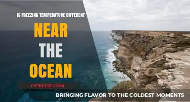 Ocean's Influence: How Coastal Areas Experience Freezing Temperatures Differently