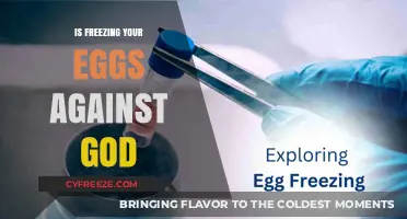 Is Freezing Your Eggs Against God? A Moral Dilemma Explored