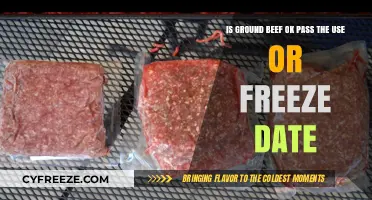 Ground Beef Safety: Use or Freeze Past the Date?