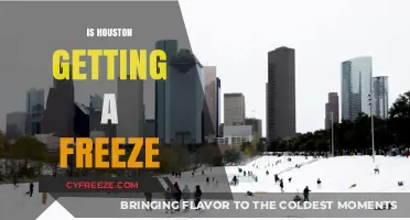 Houston's Winter Forecast: Will a Freeze Hit the City Soon?