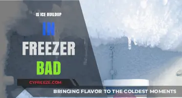 The Chill Factor: Why Ice Buildup in Your Freezer Matters