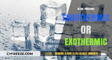Chilling Science: The Thermodynamics of Ice Freezing Explained