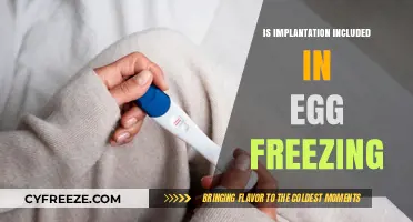 Egg Freezing 101: Does the Procedure Include Implantation?