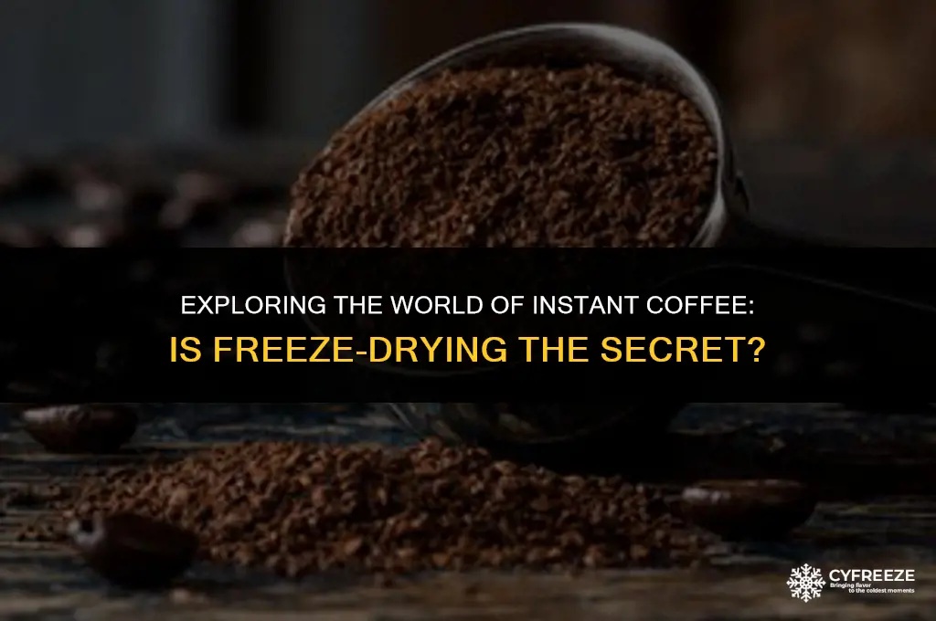 is instant coffee freeze dried