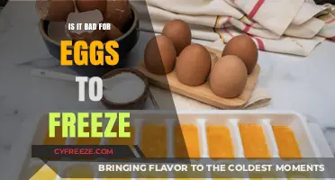 The Surprising Truth About Freezing Eggs: A Complete Guide