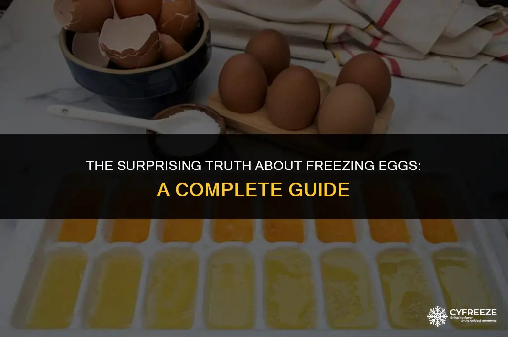 is it bad for eggs to freeze