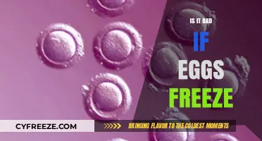 Can Eggs Survive the Freezer? Debunking Myths About Frozen Eggs
