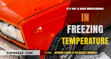 Washing Your Car's Undercarriage in Freezing Temps: Risks and Tips