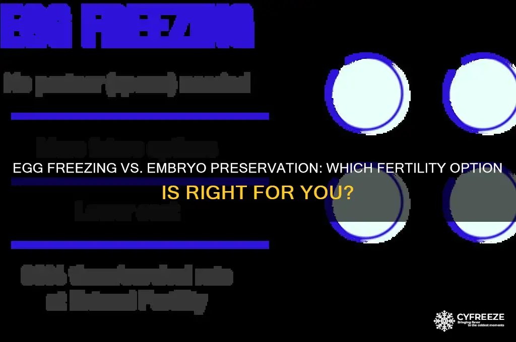 is it better to freeze eggs or embryos