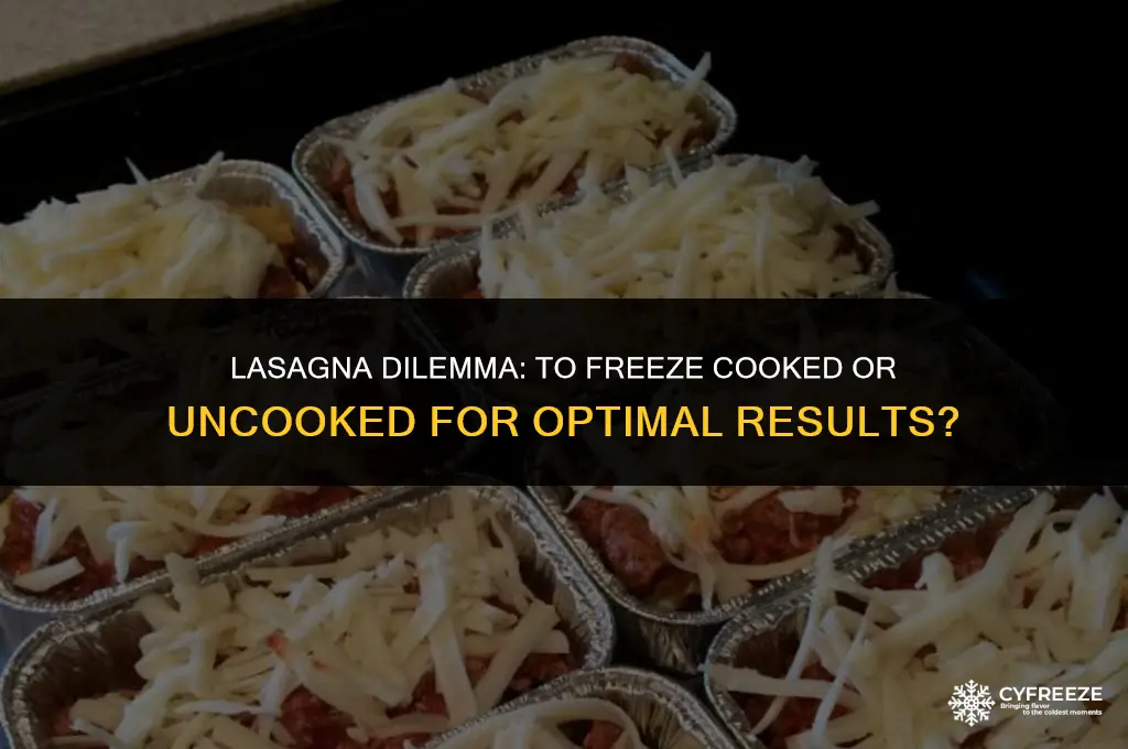 is it better to freeze lasagna cooked or uncooked