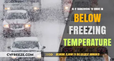 Driving in Sub-Zero Conditions: Risks and Safety Tips Revealed