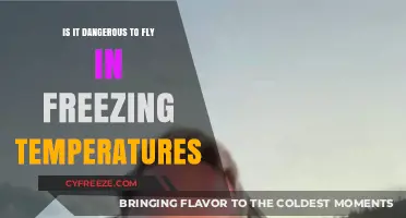 Flying in Freezing Temperatures: Safety Concerns and Precautions Explained