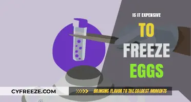 The Cost of Preserving Fertility: Is Egg Freezing Expensive?