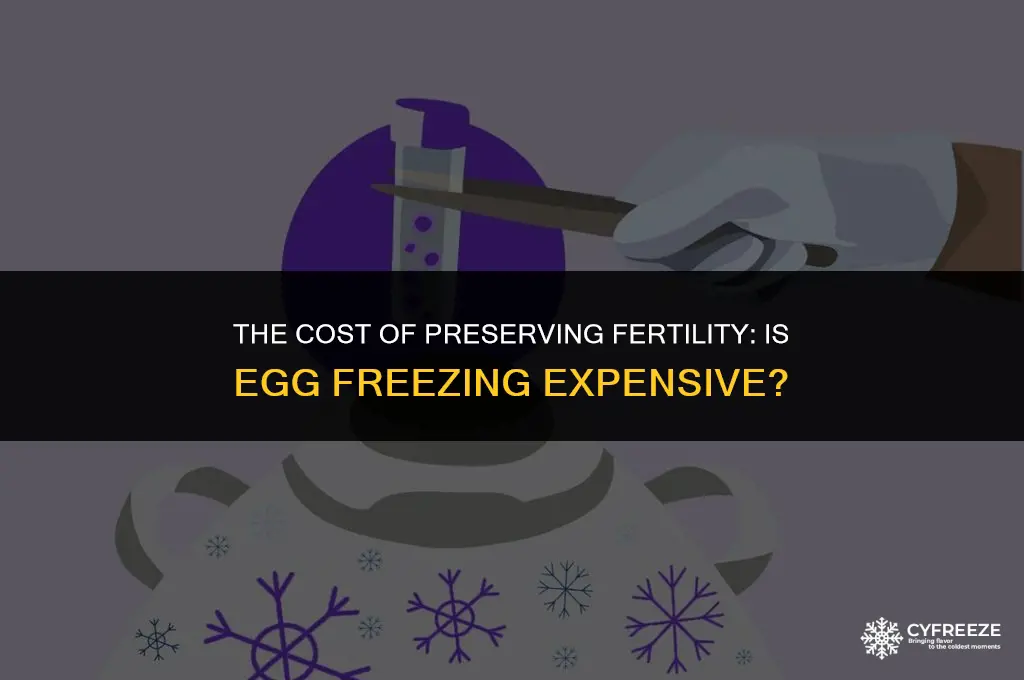 is it expensive to freeze eggs