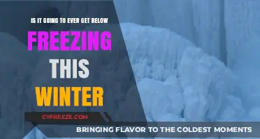 Will Winter Temperatures Drop Below Freezing This Year? Experts Weigh In
