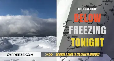 Will Tonight's Temperatures Drop Below Freezing? A Weather Forecast Analysis