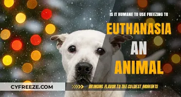 Is Freezing a Humane Euthanasia Method for Animals?