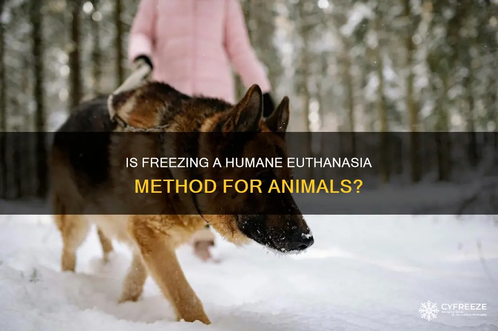 is it humane to use freezing to euthanasia an animal