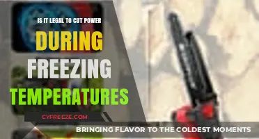Is Cutting Power in Freezing Temps Legal? Understanding Utility Rights