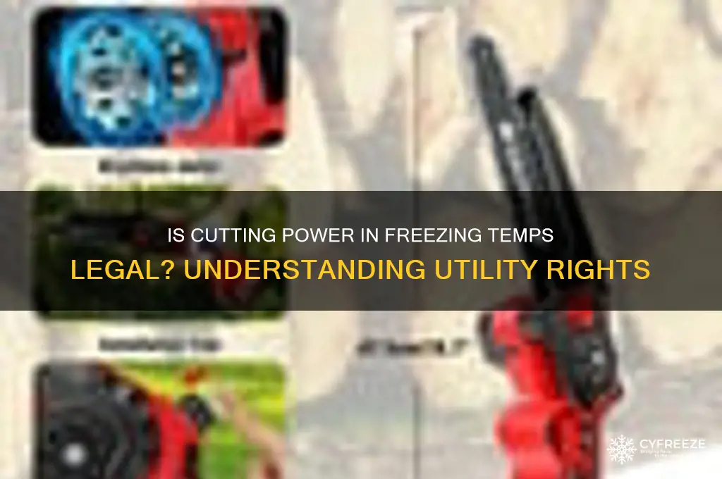 is it legal to cut power during freezing temperatures