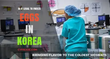 Egg Freezing in Korea: Legalities and Options for Women