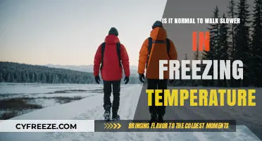 Why Do We Walk Slower in Freezing Temperatures? Exploring the Science