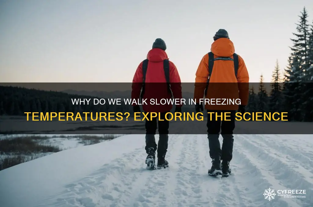 is it normal to walk slower in freezing temperatures