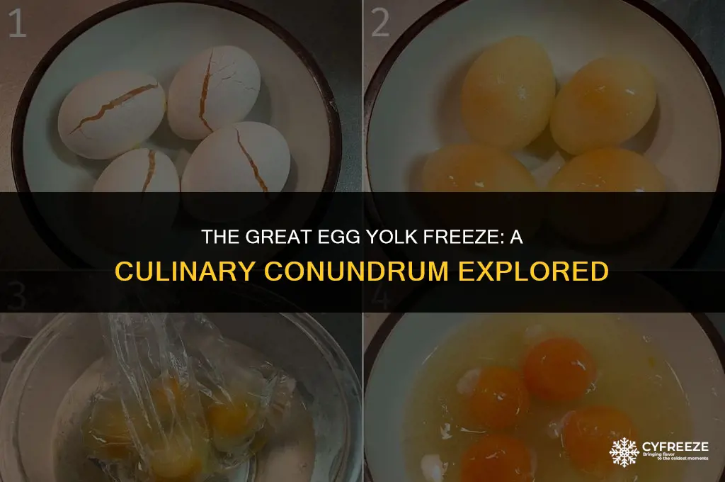 is it ok to freeze egg yolk